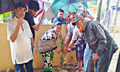 পরিবেশ রক্ষার্থে হাটহাজারীতে বৃক্ষরোপণ কর্মসূচি