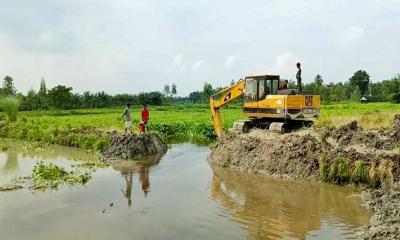 খানসামায় ২ হাজার একর অনাবাদি জমিতে হচ্ছে চাষ 