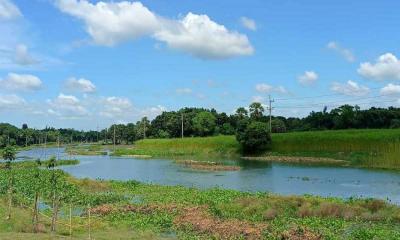 সালথায় হারিয়ে গেছে ছোট নদী মালঞ্চ