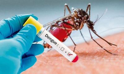 Dengue claims four lives, 426 patients hospitalized in 24 hrs