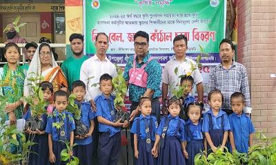 দীঘিনালায় স্কুল শিক্ষার্থীদের মধ্যে চারা বিতরণ