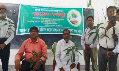 মাগুরায় বৃক্ষরোপণ কর্মসূচি অনুষ্ঠিত