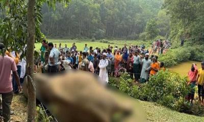 শেরপুরে বিদ্যুৎস্পর্শে বন্যহাতির মৃত্যু