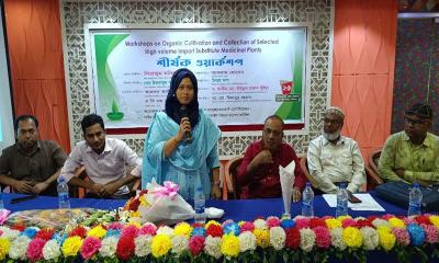 ঝিনাইদহে দেশি ভেষজ উদ্ভিদের জৈব চাষাবাদবিষয়ক কর্মশালা