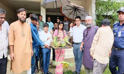হোসেনপুরে অর্ধশতাধিক টিয়াপাখি অবমুক্ত, ফাঁদ  পুড়িয়ে ধ্বংস