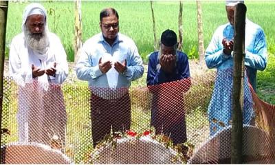 গণঅভ্যুত্থানের দুই শহিদের কবরে নতুন ইউএনওর শ্রদ্ধা