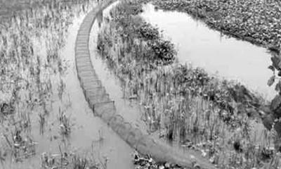 দুমকিতে নিষিদ্ধ জাল দিয়ে মাছ শিকারের মহোৎসব