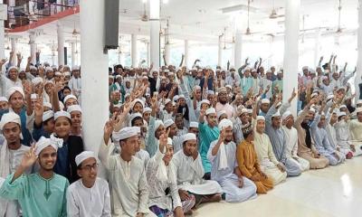 মাদ্রাসা বোর্ডে দেশসেরা এনএস কামিল মাদ্রাসা