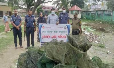 ভূঞাপুরে নিষিদ্ধ চায়না জাল পুড়িয়ে দিলো প্রশাসন