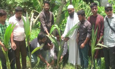 বরিশালে জুলাই যোদ্ধাদের পক্ষ থেকে বৃক্ষরোপণ