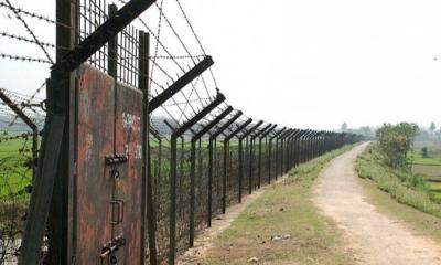 হরিপুর সীমান্তে পুশইনকালে ১৭ জন আটক