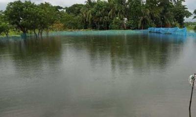 মাছের ঘেরে ভেসে উঠল দুই শিশুর মরদেহ