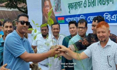 খাগড়াছড়িতে বিএনপির উদ্যোগে গাছের চারা বিতরণ