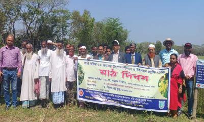 ‘বারি সরিষা ১৮’ আবিষ্কার করেছেন কৃষি গবেষণা ইনস্টিটিউট