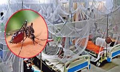 বরিশালে আরও ১১০ জন ডেঙ্গু আক্রান্ত