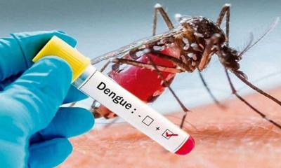 ডেঙ্গুতে আরও একজনের মৃত্যু, হাসপাতালে ৩৮৩