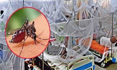 ডেঙ্গুতে আরও ৪ জনের মৃত্যু, হাসপাতালে ভর্তি ৩১৯