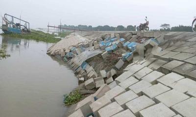 ফরিদপুরে পদ্মার তীর সংরক্ষণ বাঁধে ধস