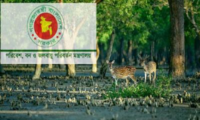 সুন্দরবনের ১০ কিলোমিটারের মধ্যে শিল্পপ্রতিষ্ঠান নির্মাণ নিষিদ্ধে প্রজ্ঞাপন জারি